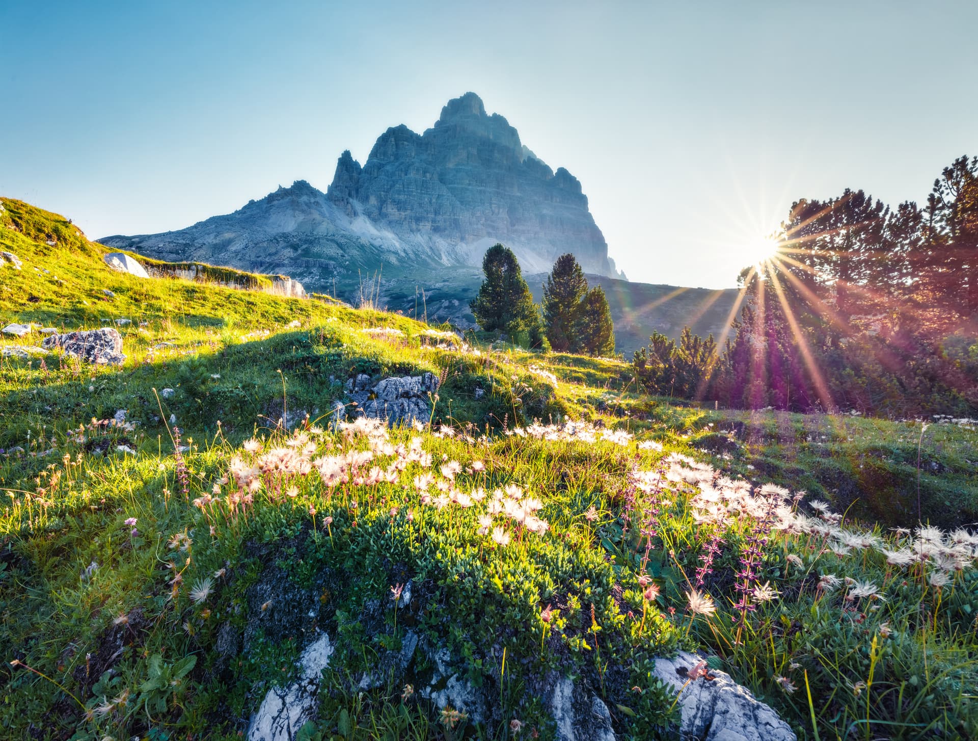 sunlight-meadow-summer-walking-holiday