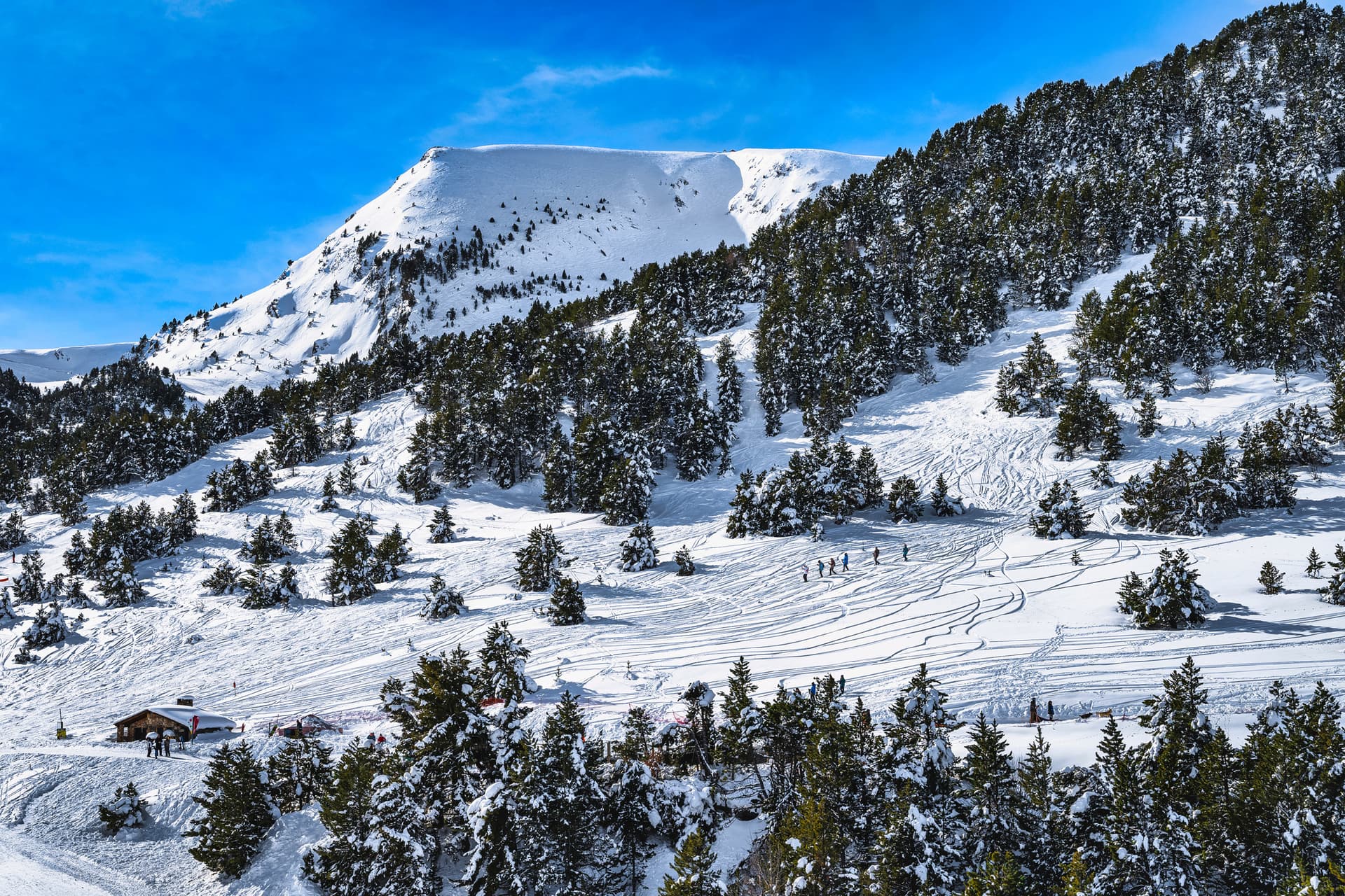 Treelined slopes in El Tarter Andorro