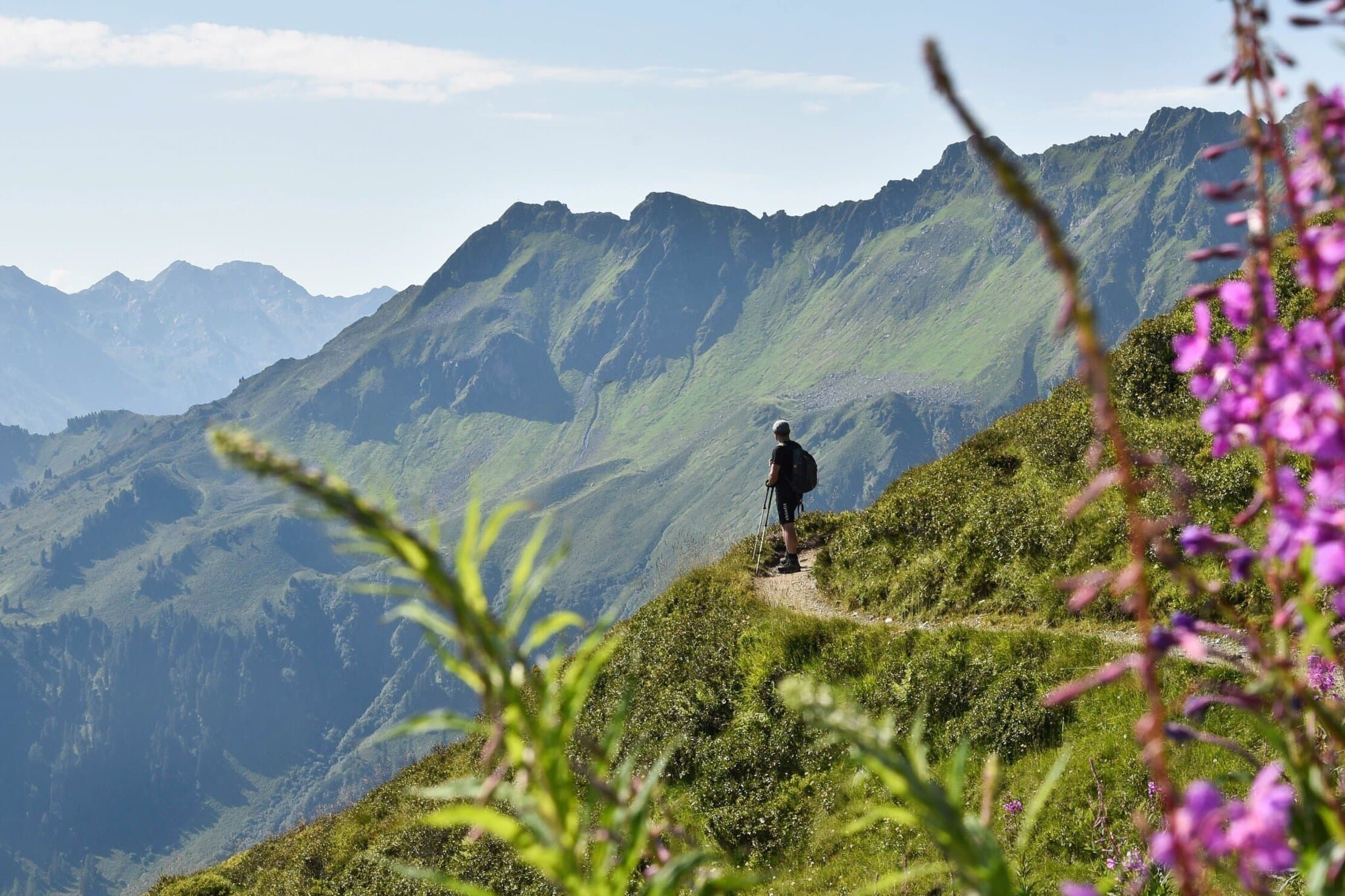 Alpbach-Tourism-Board-Wiedersberger-Horn