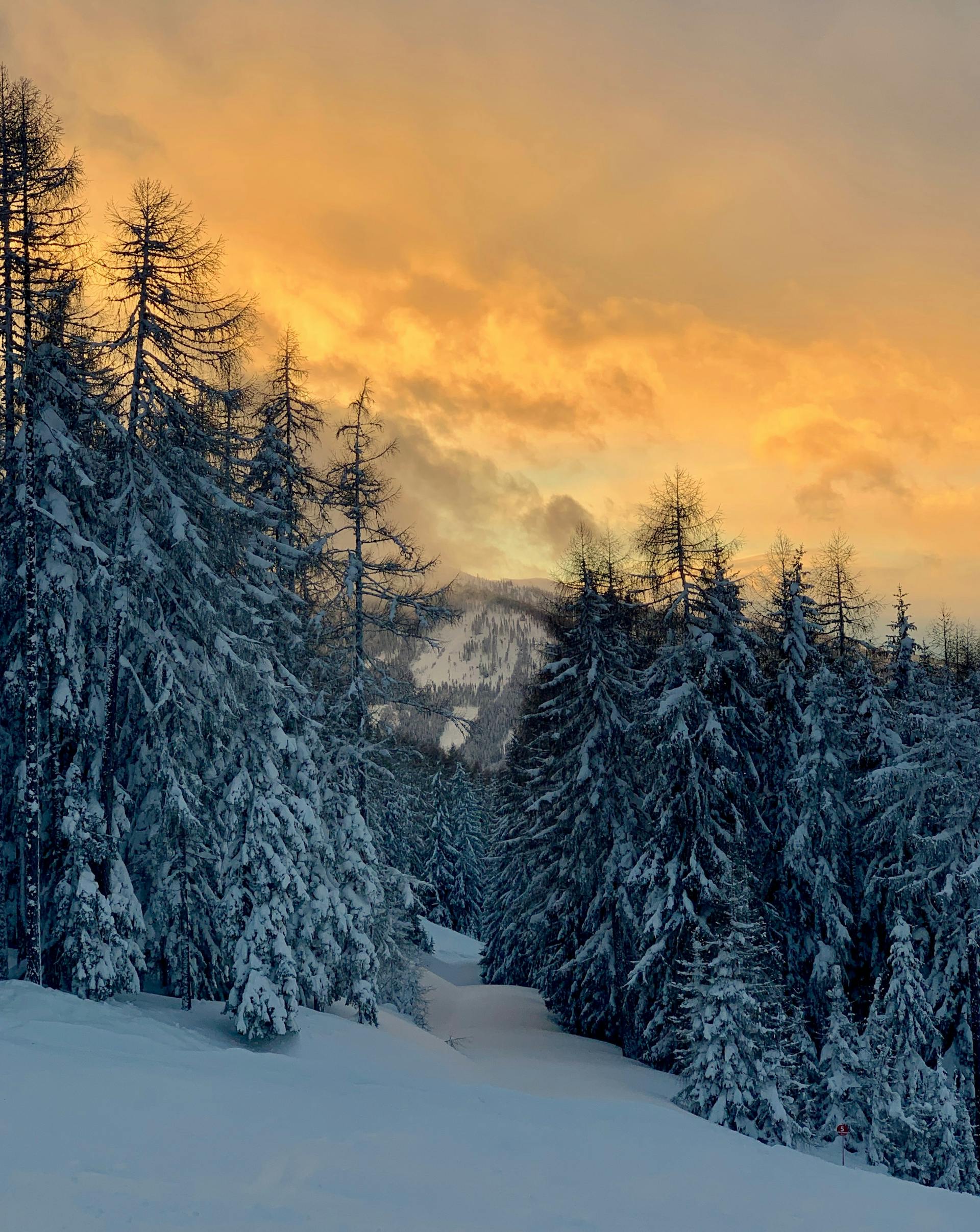 Sunset over snow-capped trees in Austrian ski resort