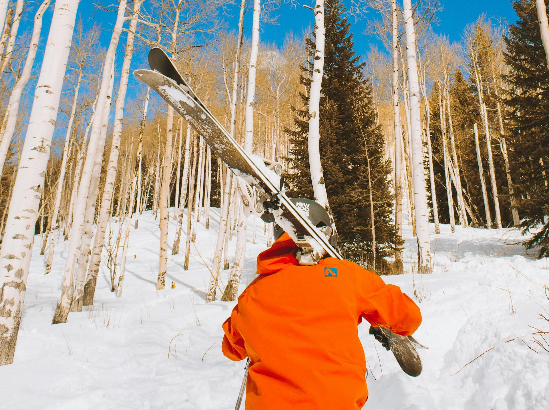 Skier walking through the backcountry carrying his skis