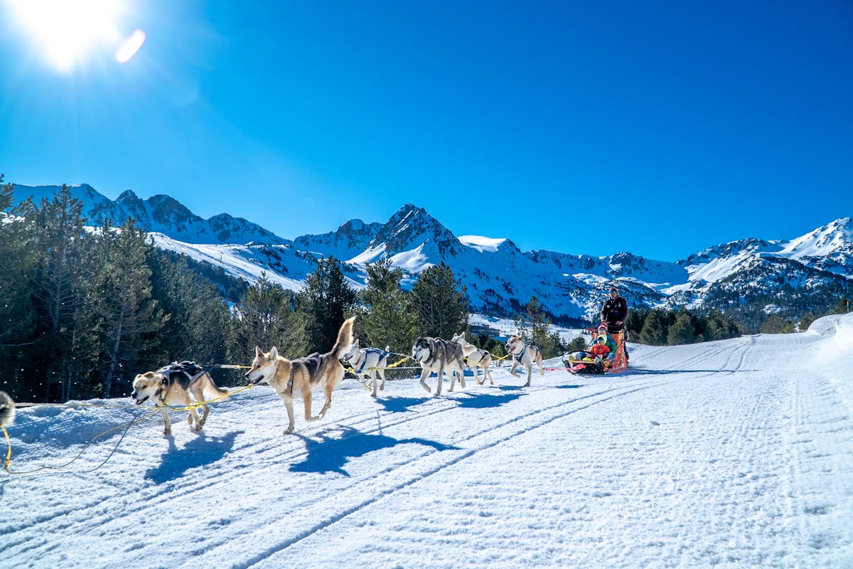 Family mushing with huskies on snowy path in El Tarter Andorra