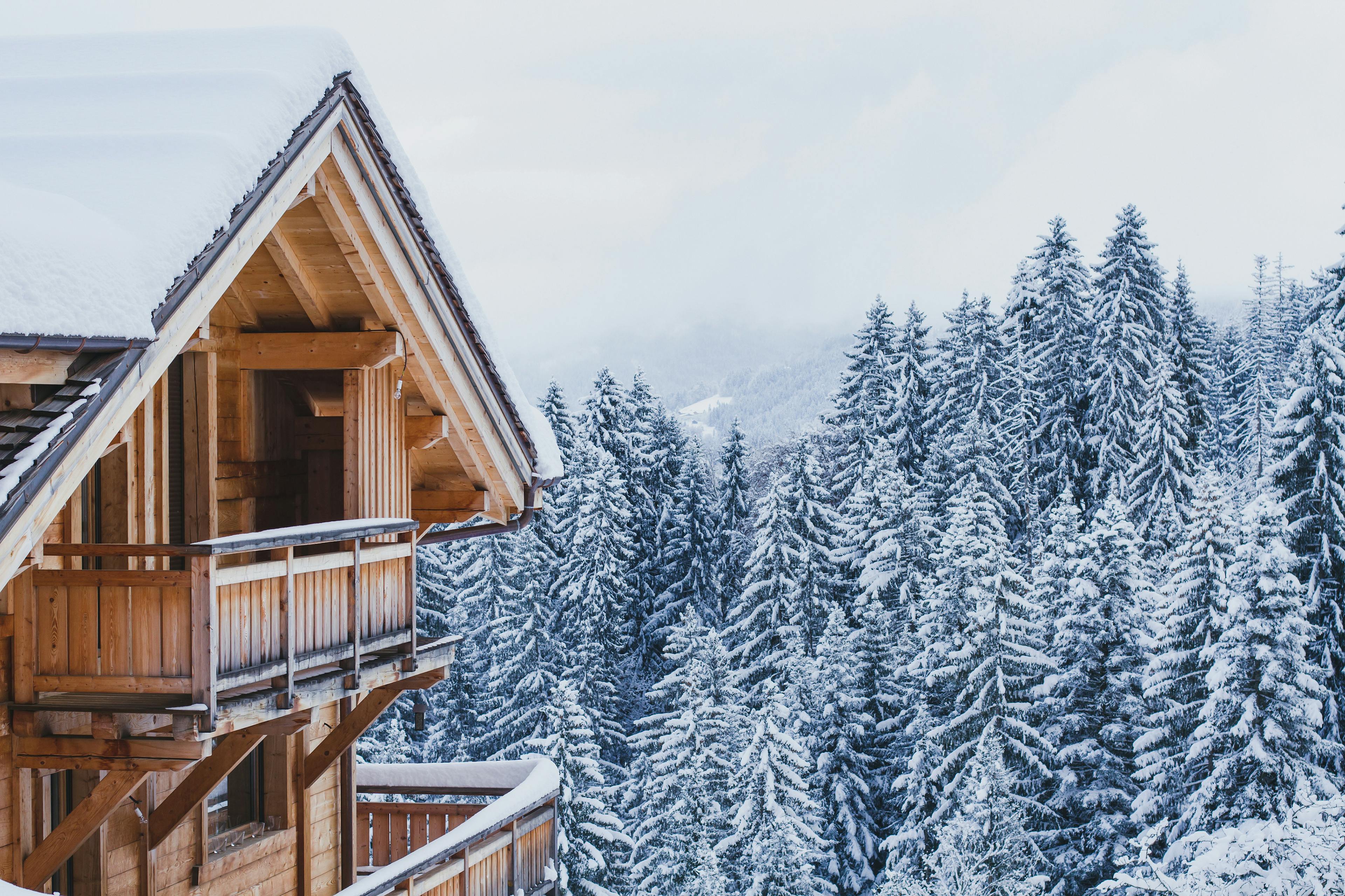 Wooden chalet amongst snowy trees