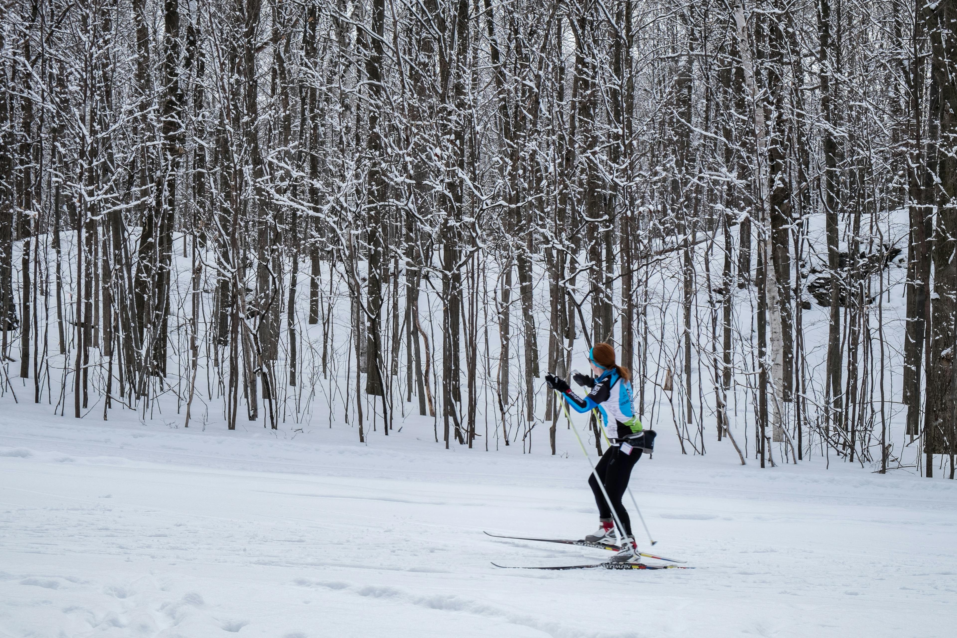 Cross country skier trekking across tree lined snowy path