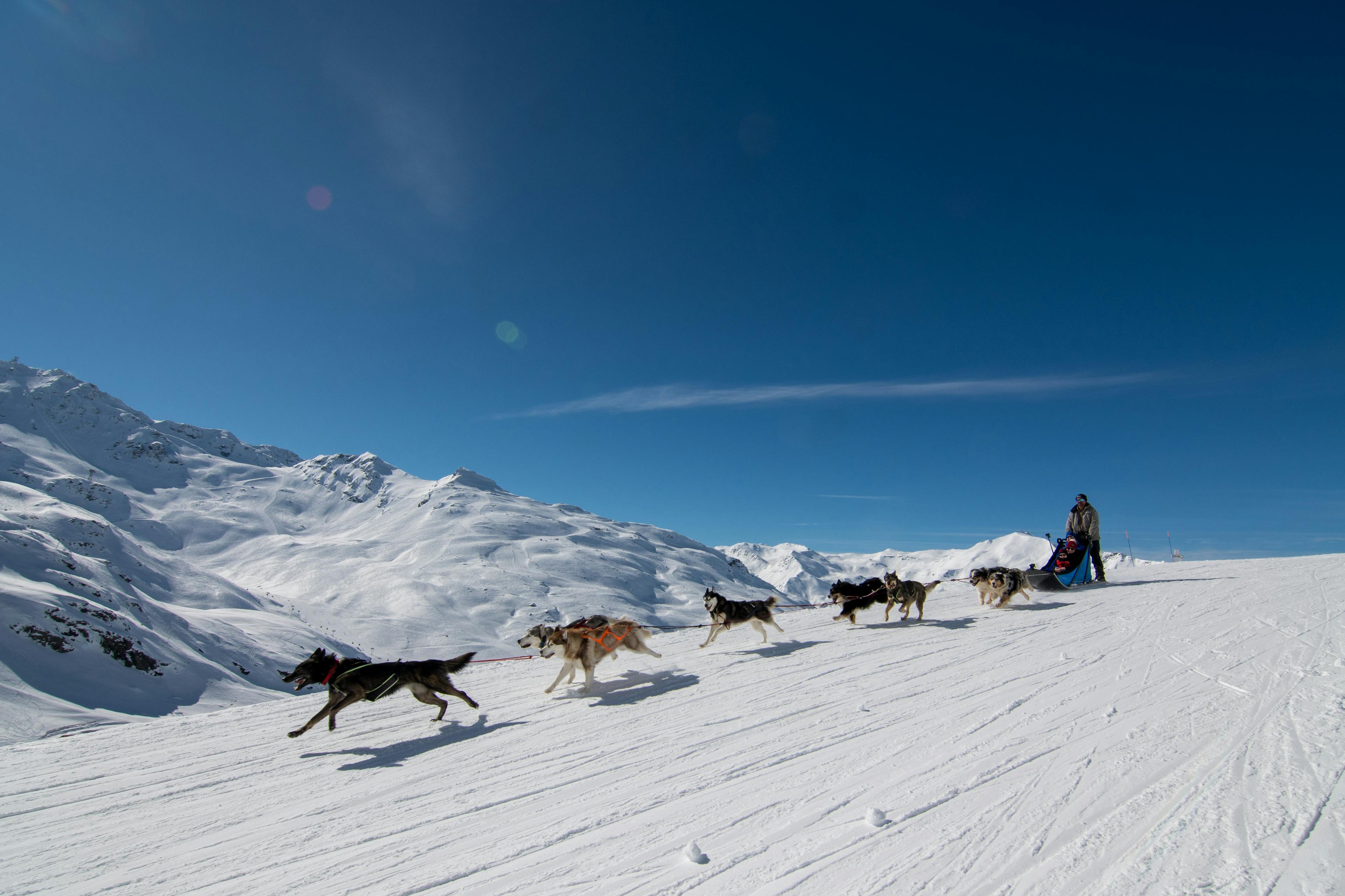 Man enjoying mushing at Val Thorens ski resort under blue sky