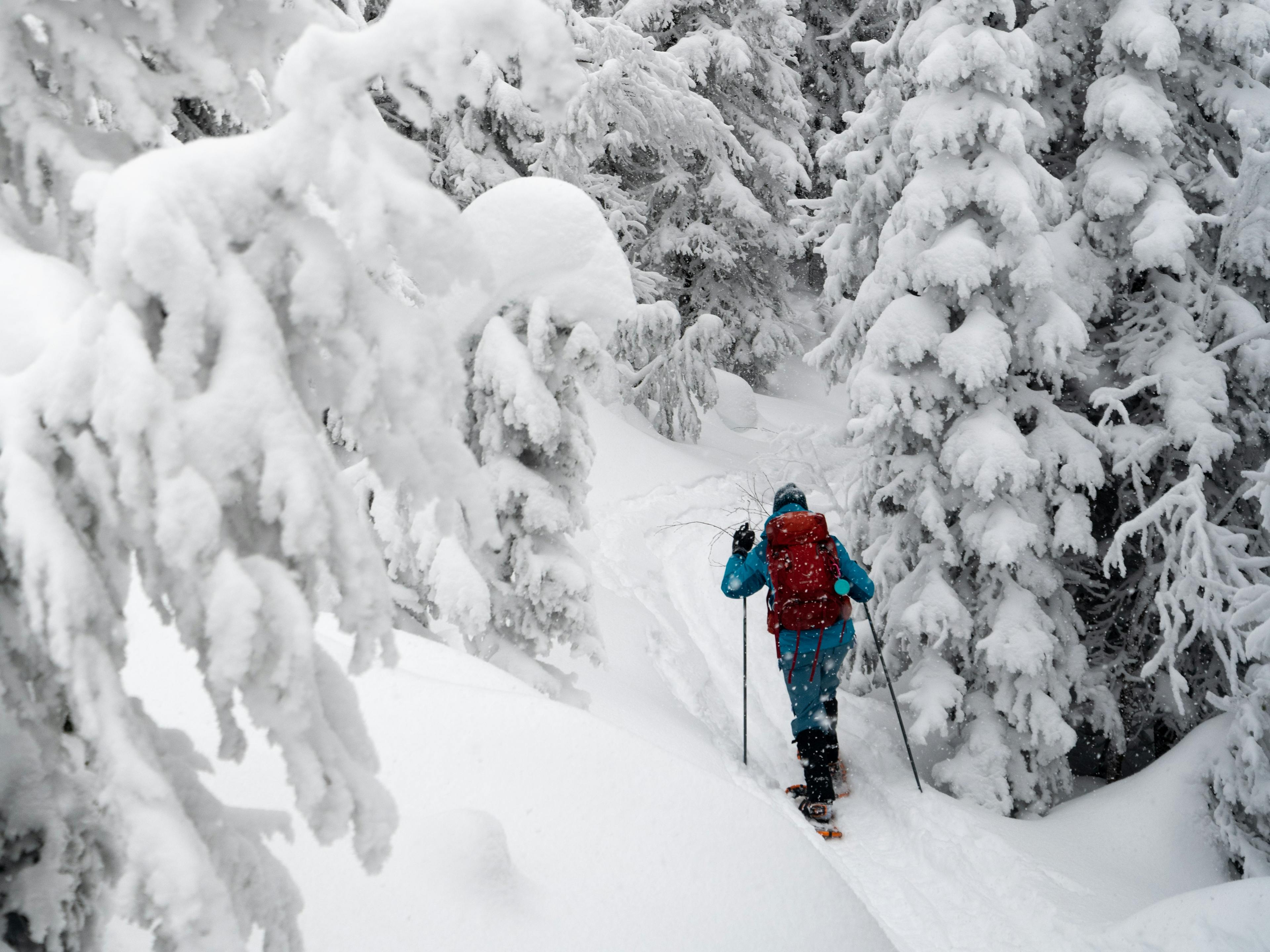 Person snowshoeing through snowy trees
