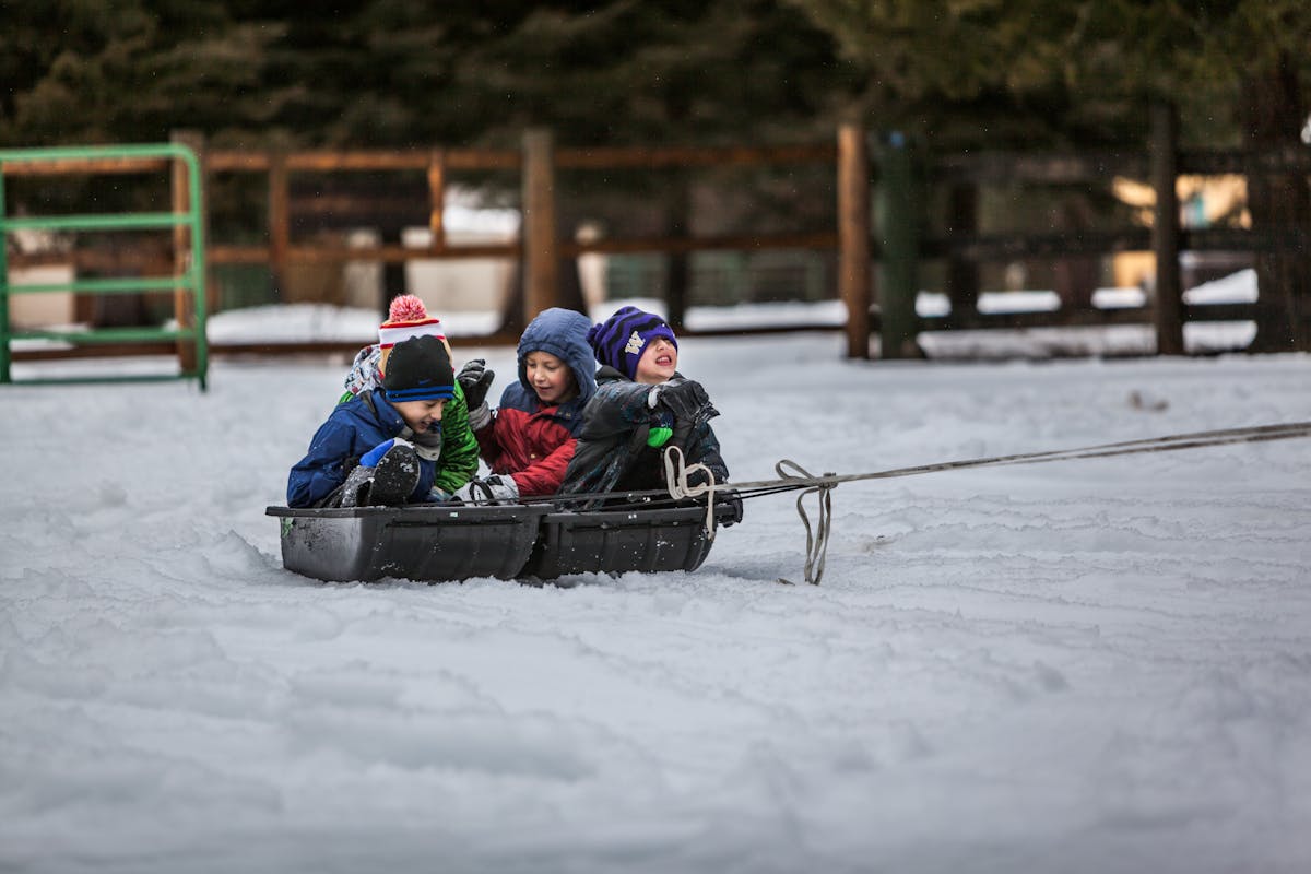 Children having fun in snow on sledge