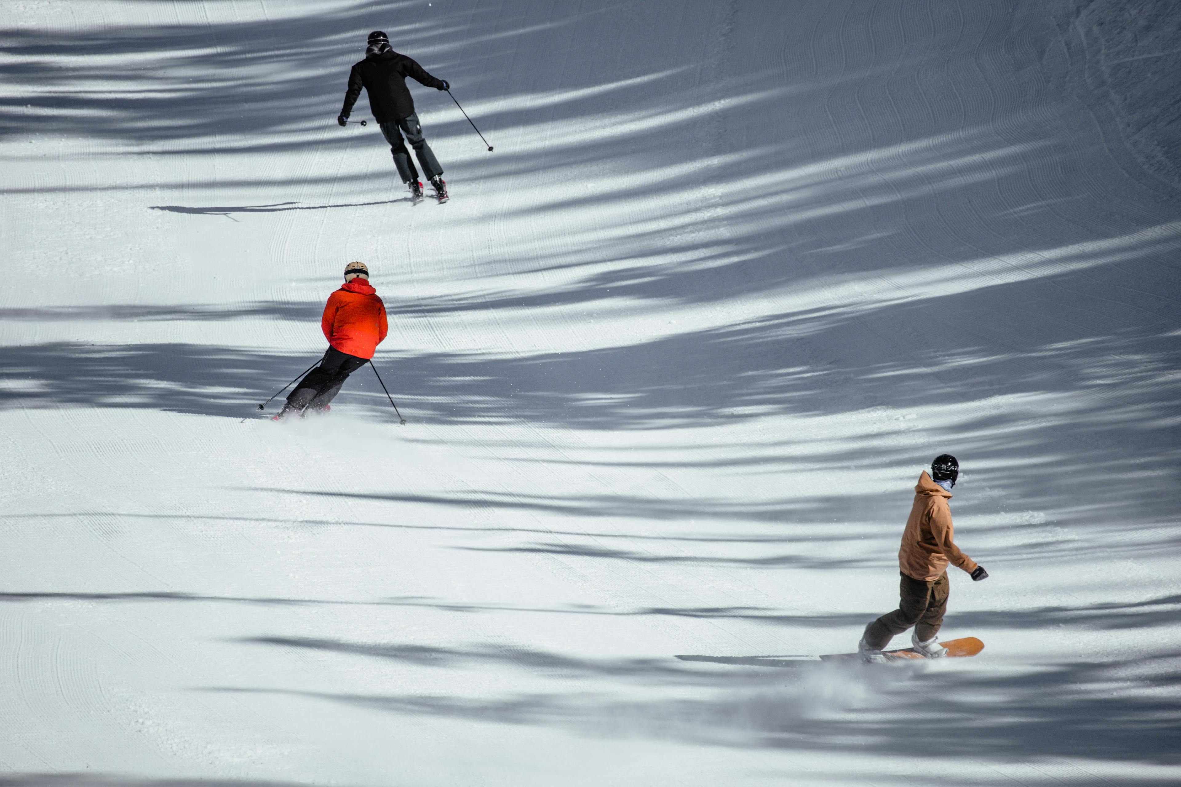 skiers and snowboarder enjoying ski slope