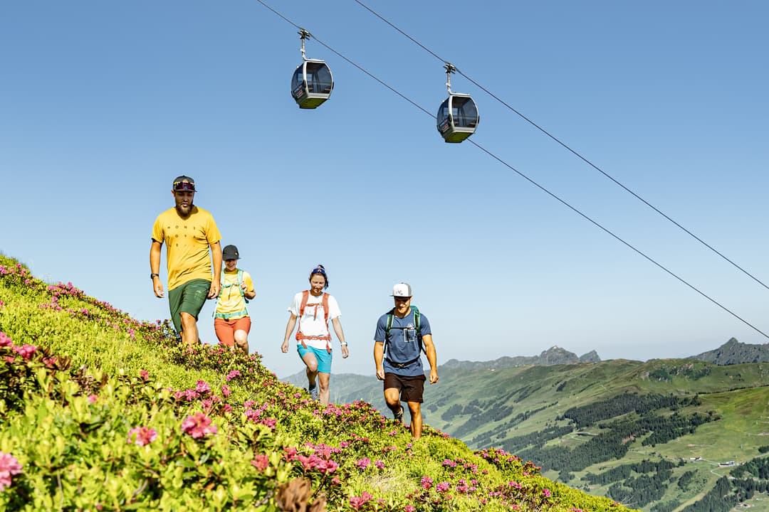 Alaps Friend Alps Walking Holidays & Resorts 2026/2027 | Walking Holidays in the ...